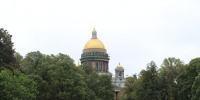 Петербург обгоняет Ленобласть по количеству случаев присасывания клещей